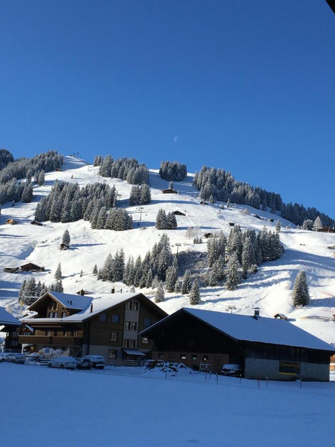 Chalet Aloa Apartamento Adelboden Exterior foto