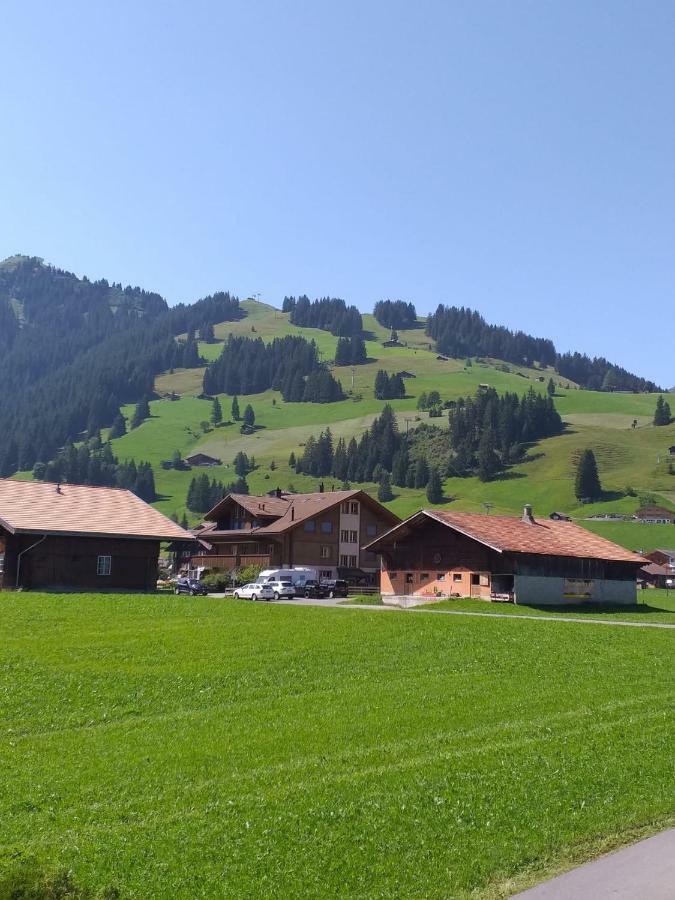 Chalet Aloa Apartamento Adelboden Exterior foto